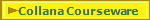 Collana Courseware